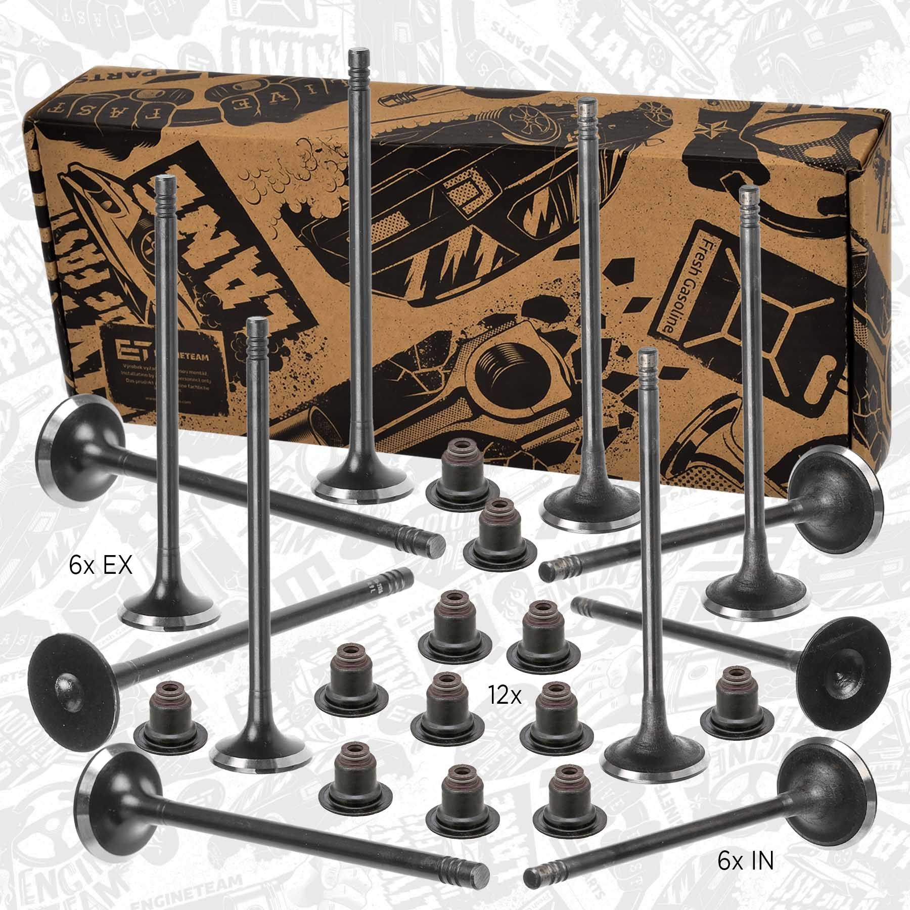 Ventilsatz, Einlass-/Auslassventil