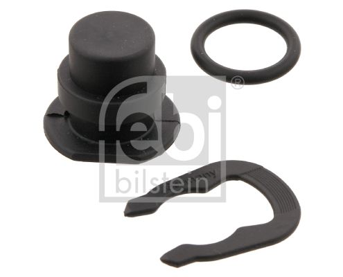 Sealing Plug, coolant flange 12428