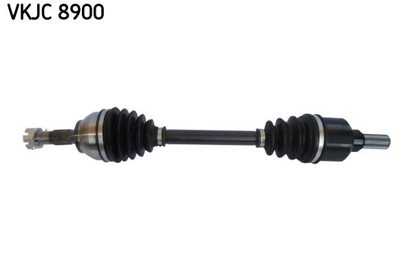 VKJC 8900.JPG