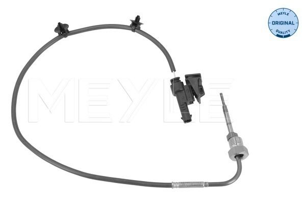 Sensor, Abgastemperatur