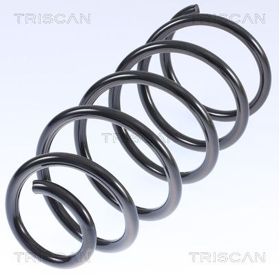 8750 29074 TRISCAN futómű rugó