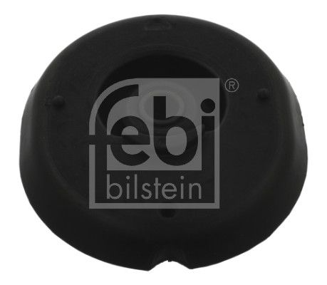Federbeinst&uuml;tzlager