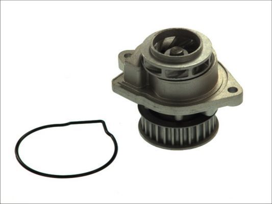 Water Pump, engine cooling D1W022TT