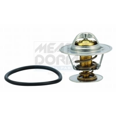 Thermostat, Kühlmittel