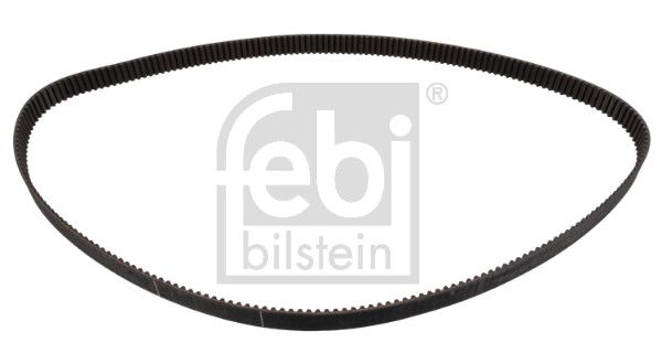 Timing Belt 23419