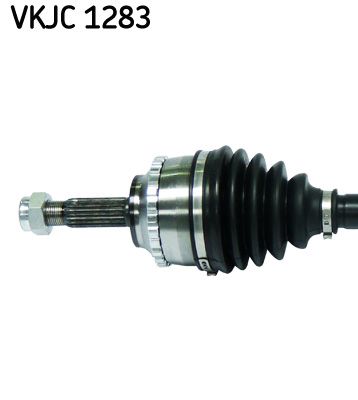 VKJC 1283_2.JPG