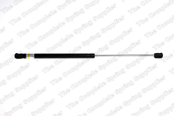 Gasfeder, Koffer-/Laderaum