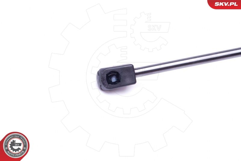 Gasfeder, Koffer-/Laderaum