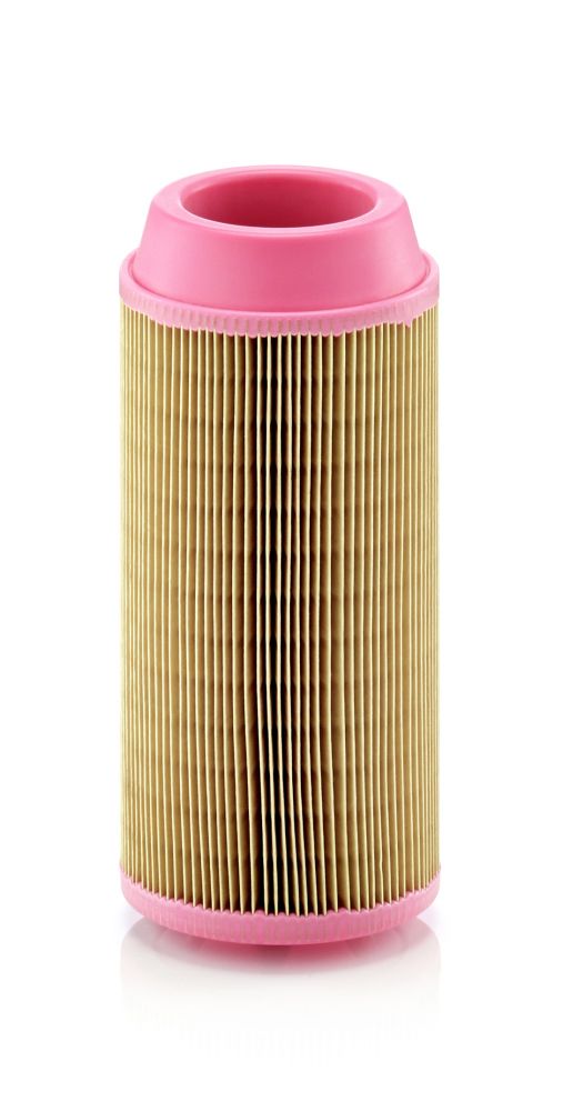 Air Filter C 11 100