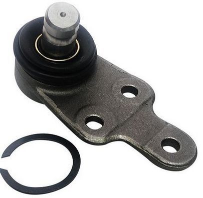 Ball Joint D110100