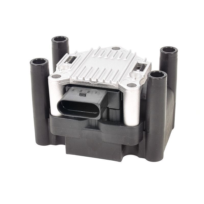 Ignition Coil GN10018-12B1