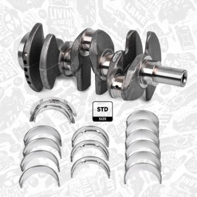 Reparatursatz, Kurbelwelle