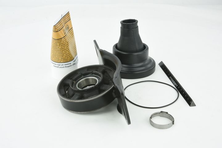 guolis, kardaninio veleno centrinis guolis