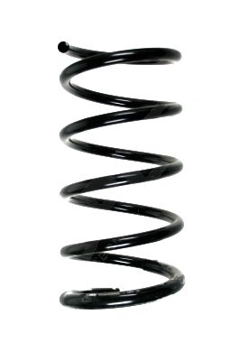 SPIDAN 85691 - Fahrwerksfeder