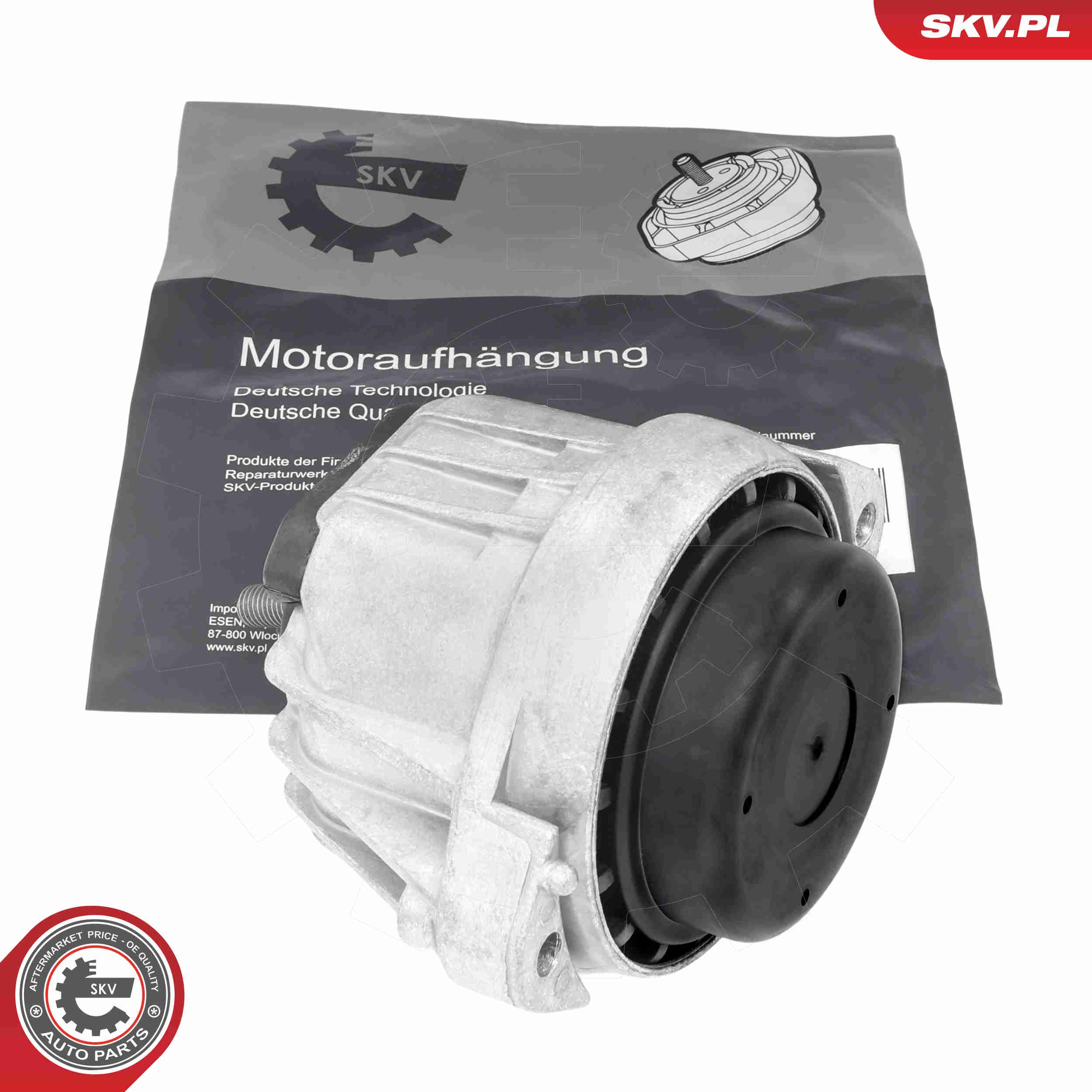 75SKV247 ESEN SKV felfüggesztés, motor