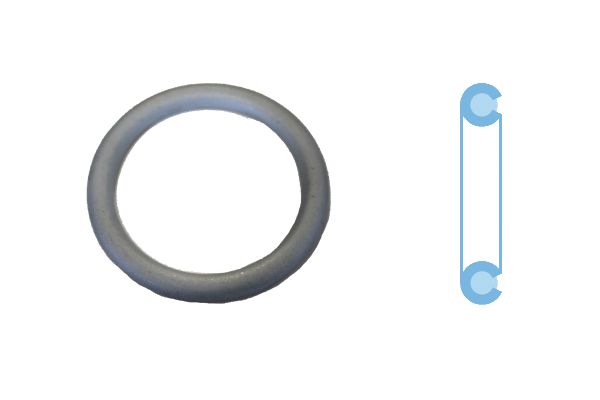 Seal Ring, oil drain plug 005507H