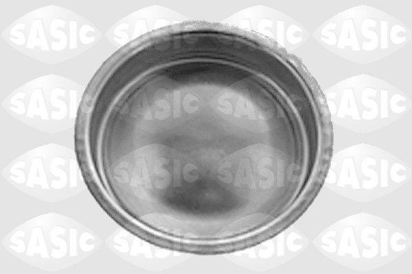 Cover, wheel hub 7403193