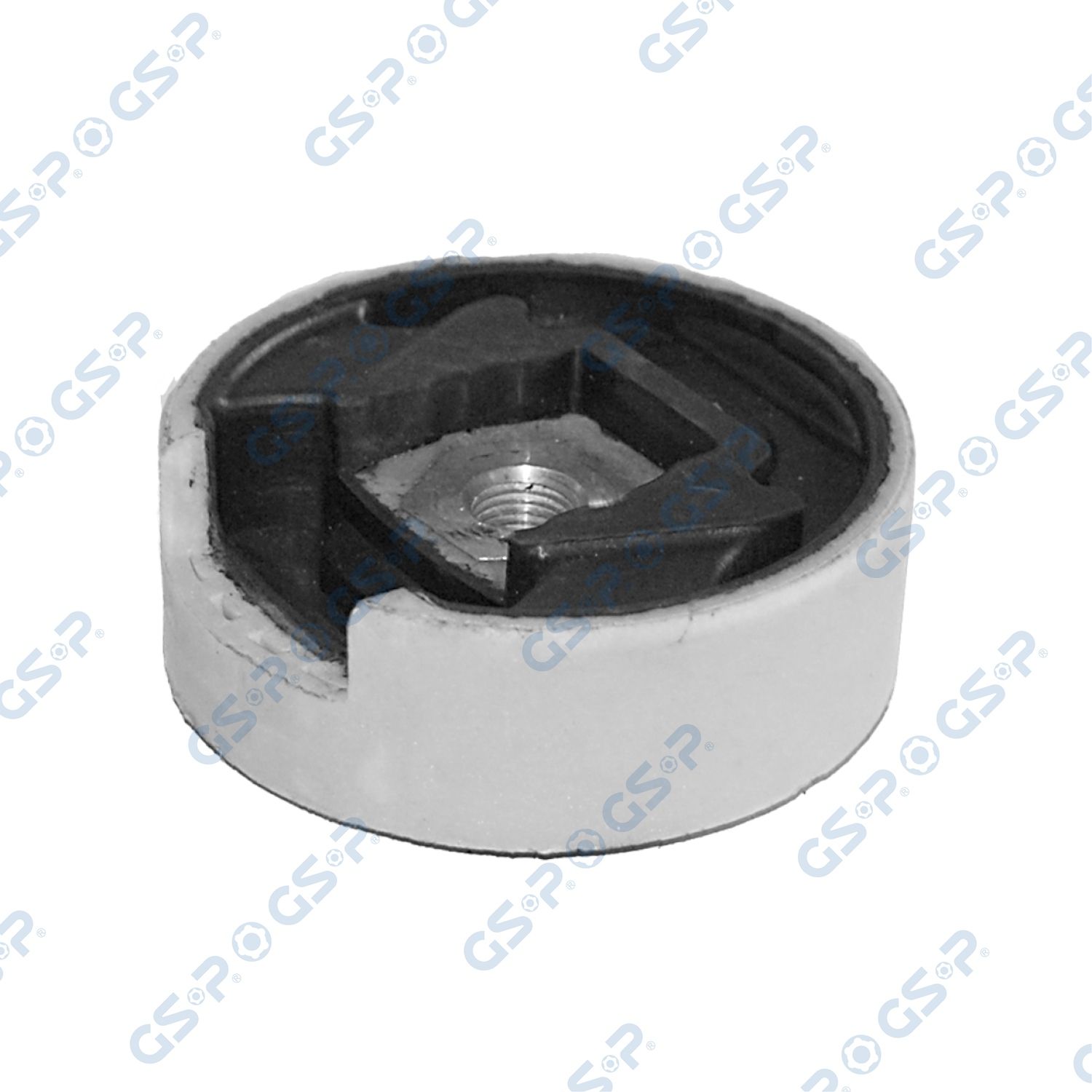 GSP 516544 - Lagerung, Motor