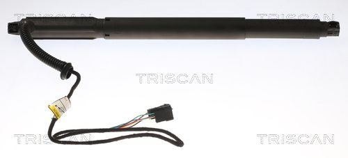 TRISCAN 8710 11301 - Gasfeder, Koffer-/Laderaum