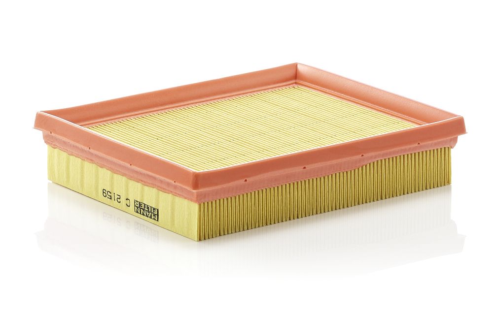 Air Filter C 2159