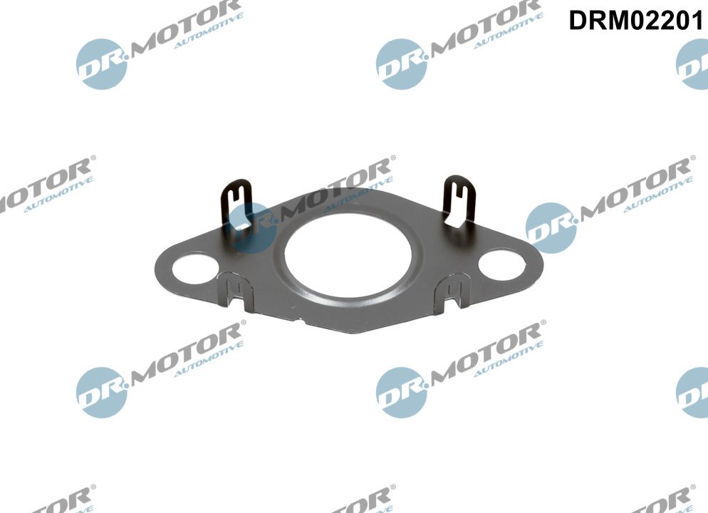 Dr.Motor Automotive DRM02201 - Dichtung, Leitung AGR-Ventil