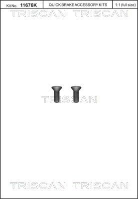 TRISCAN 8105 116017 Screw Set, brake disc