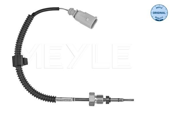 Sensor, Abgastemperatur