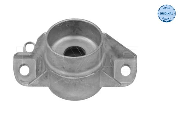 Federbeinst&uuml;tzlager