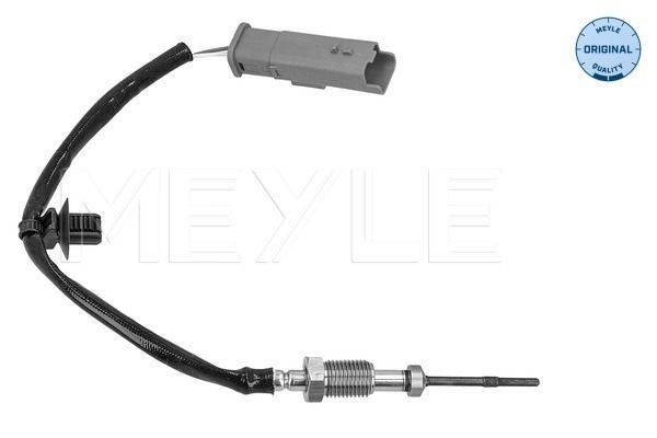 Sensor, Abgastemperatur