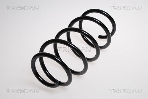 8750 24123 TRISCAN futómű rugó
