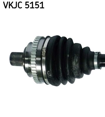 VKJC 5151_2.JPG