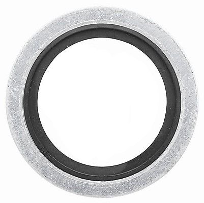 Dichtring