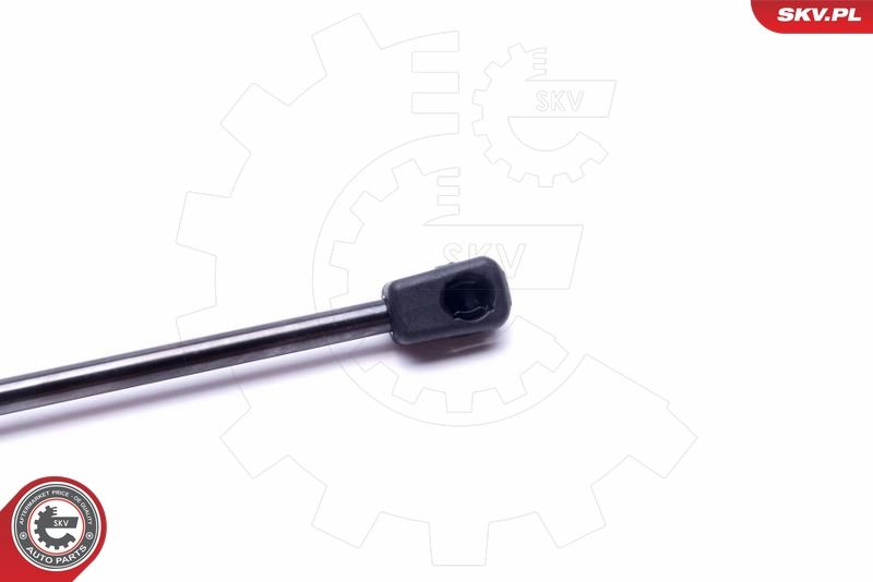 Gasfeder, Koffer-/Laderaum