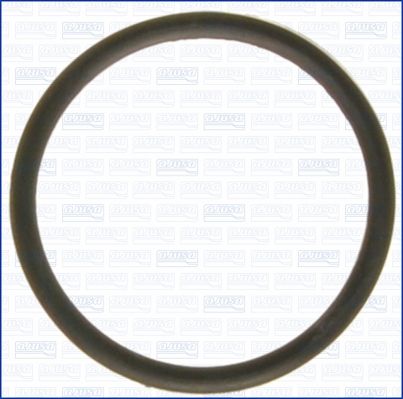 Dichtung, Thermostat