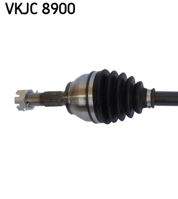 VKJC 8900_2.JPG