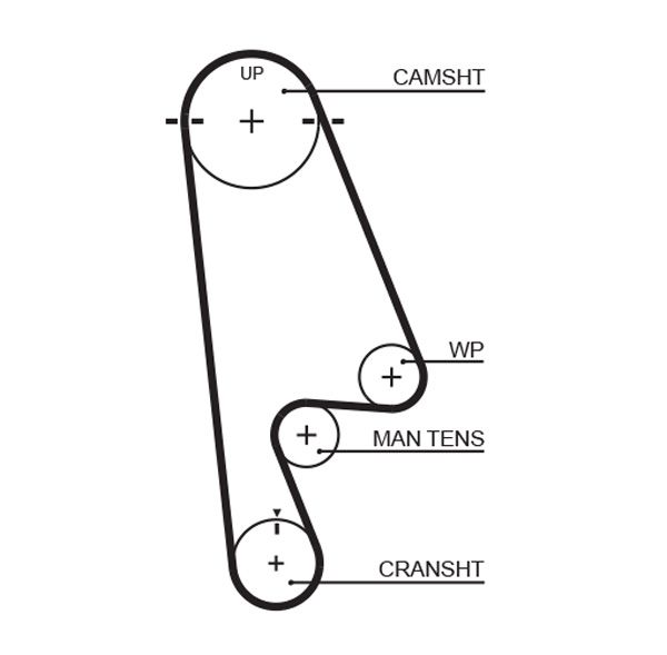 Timing Belt T244RB