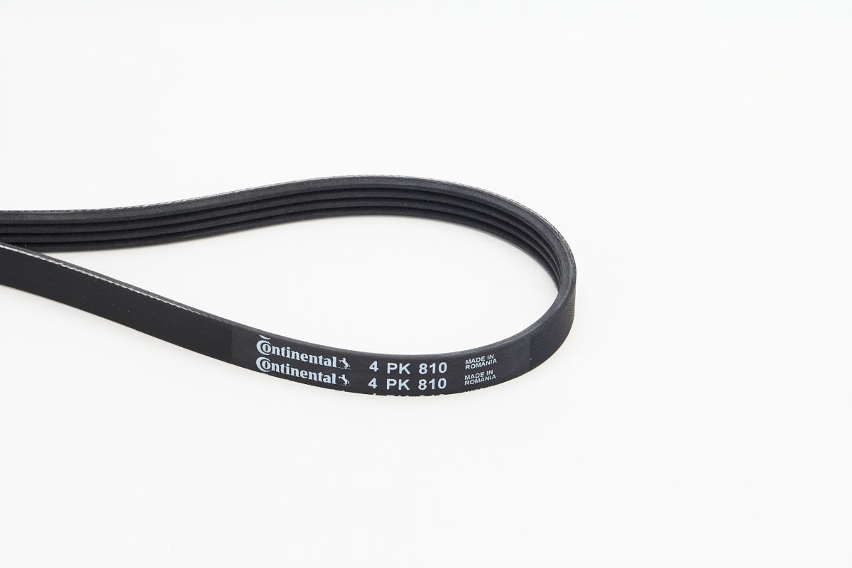 CONTINENTAL CTAM 4PK810 - Keilrippenriemen