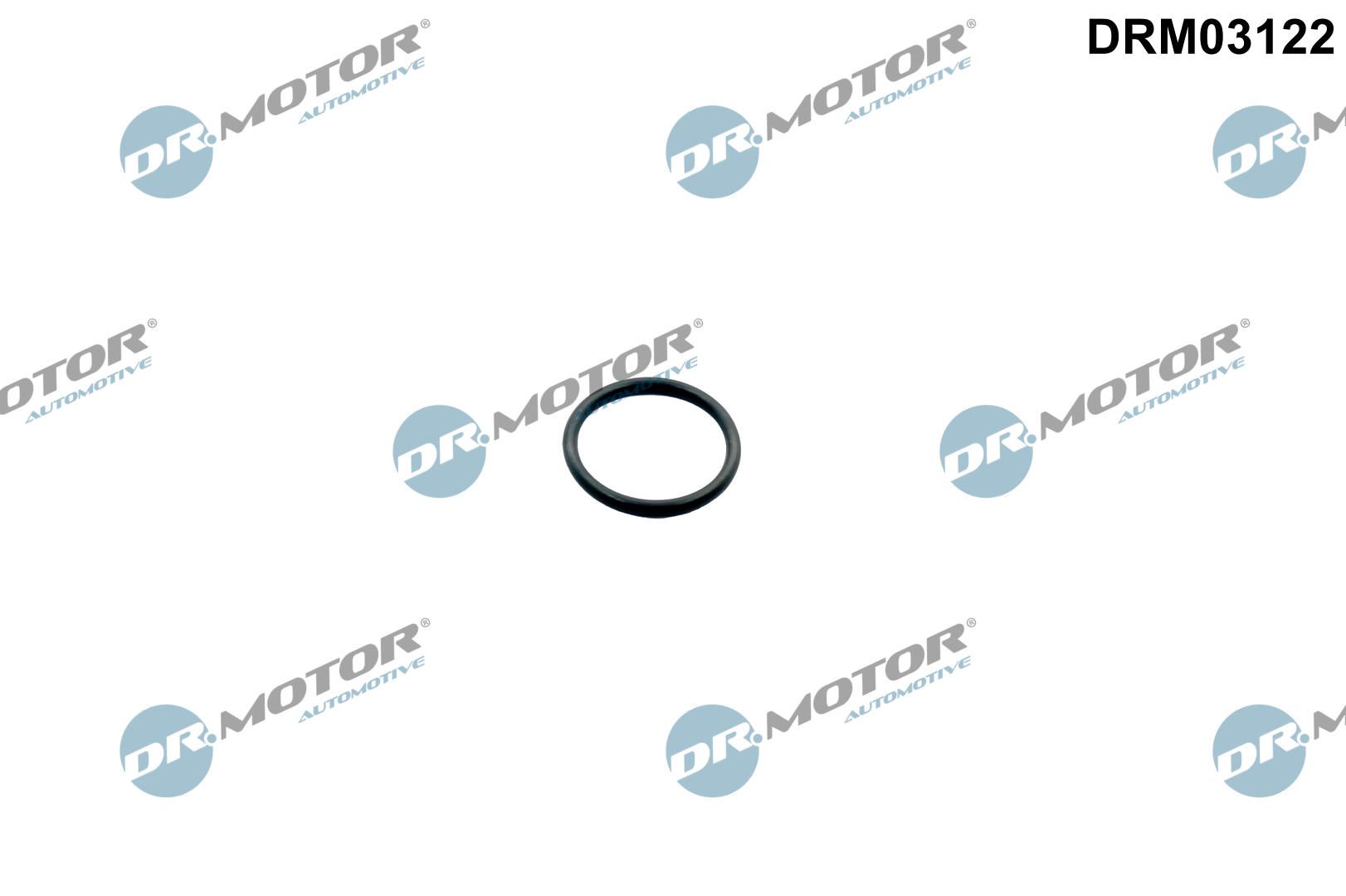 drm03122.JPG