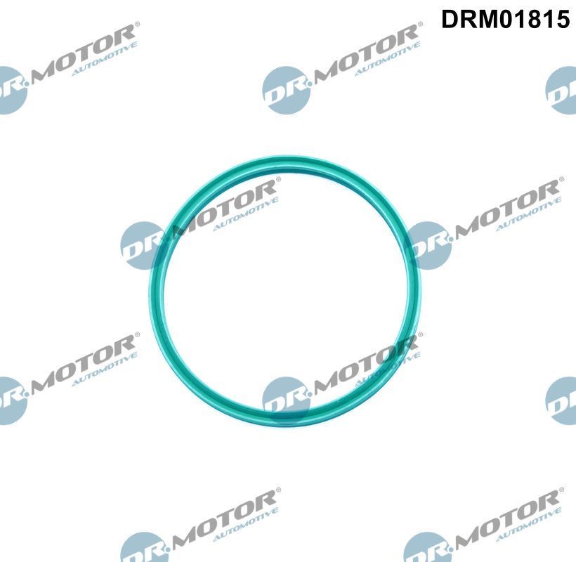 Dr.Motor Automotive DRM01815 - Dichtring, Ladeluftschlauch