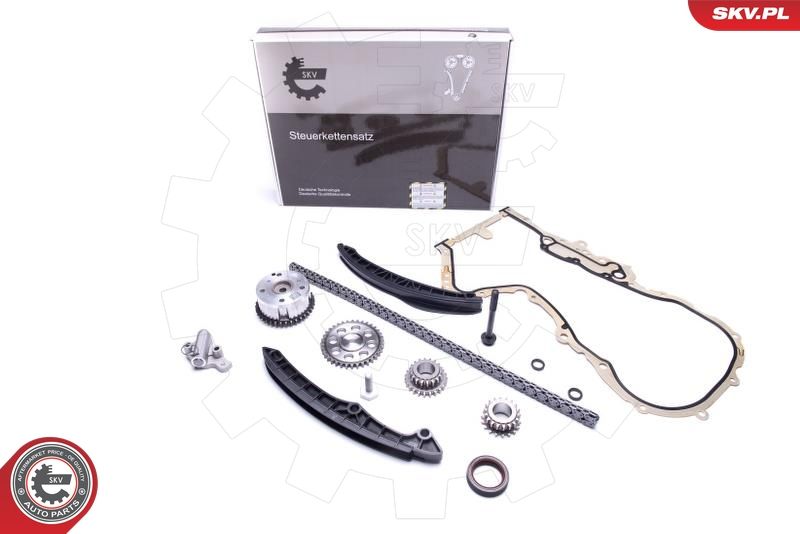 Timing Chain Kit 21SKV235