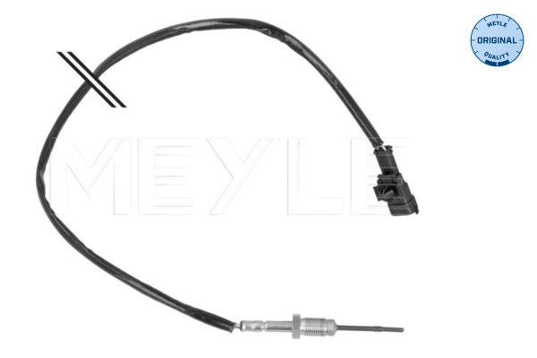 Sensor, Abgastemperatur