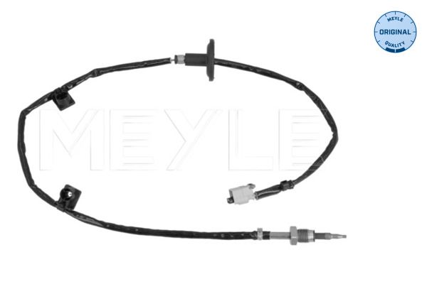 Sensor, Abgastemperatur Sensor, Abgastemperatur