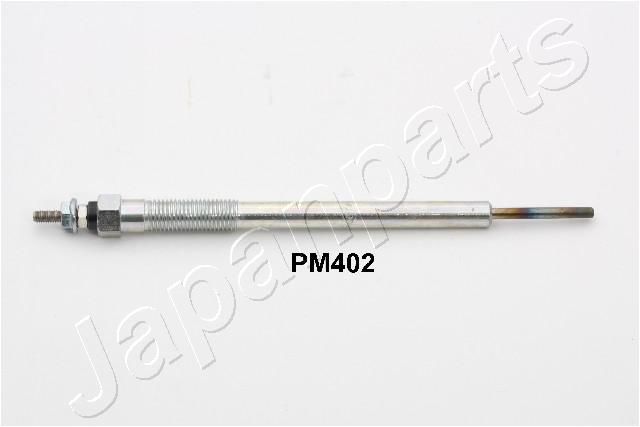 PM402_1.JPG