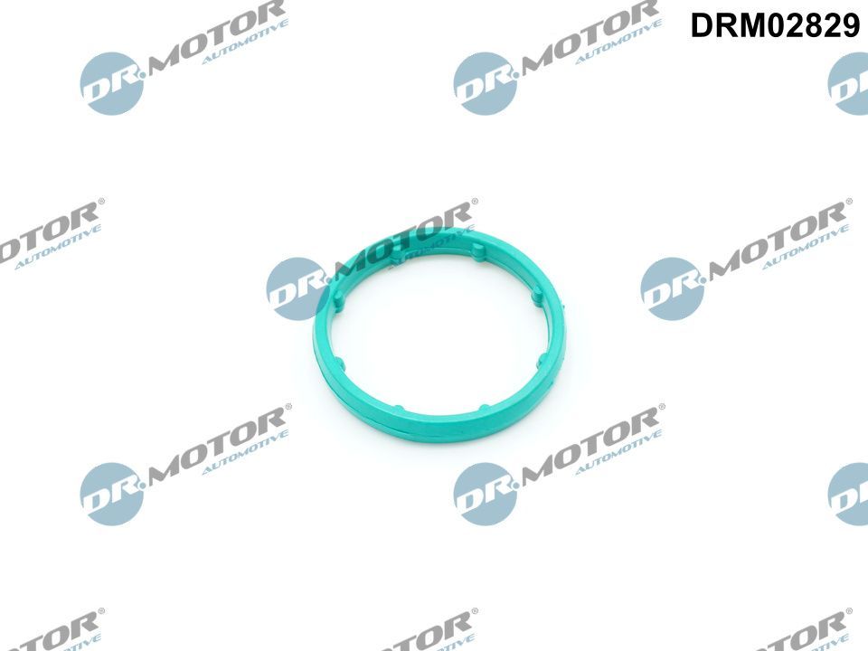 Dr.Motor Automotive DRM02829 - Dichtung, &Ouml;lk&uuml;hler