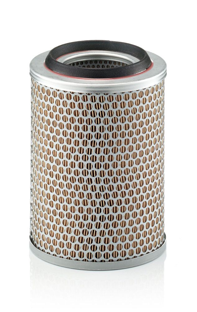 MANN-FILTER C 17 217 - Luftfilter