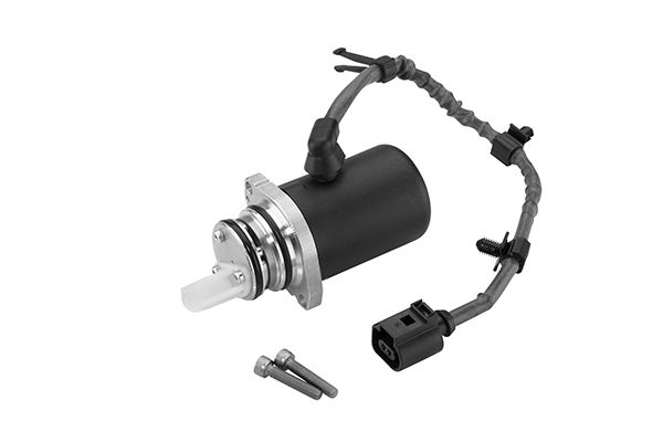 BorgWarner DS118613 Pump, multi-plate clutch (all-wheel drive)