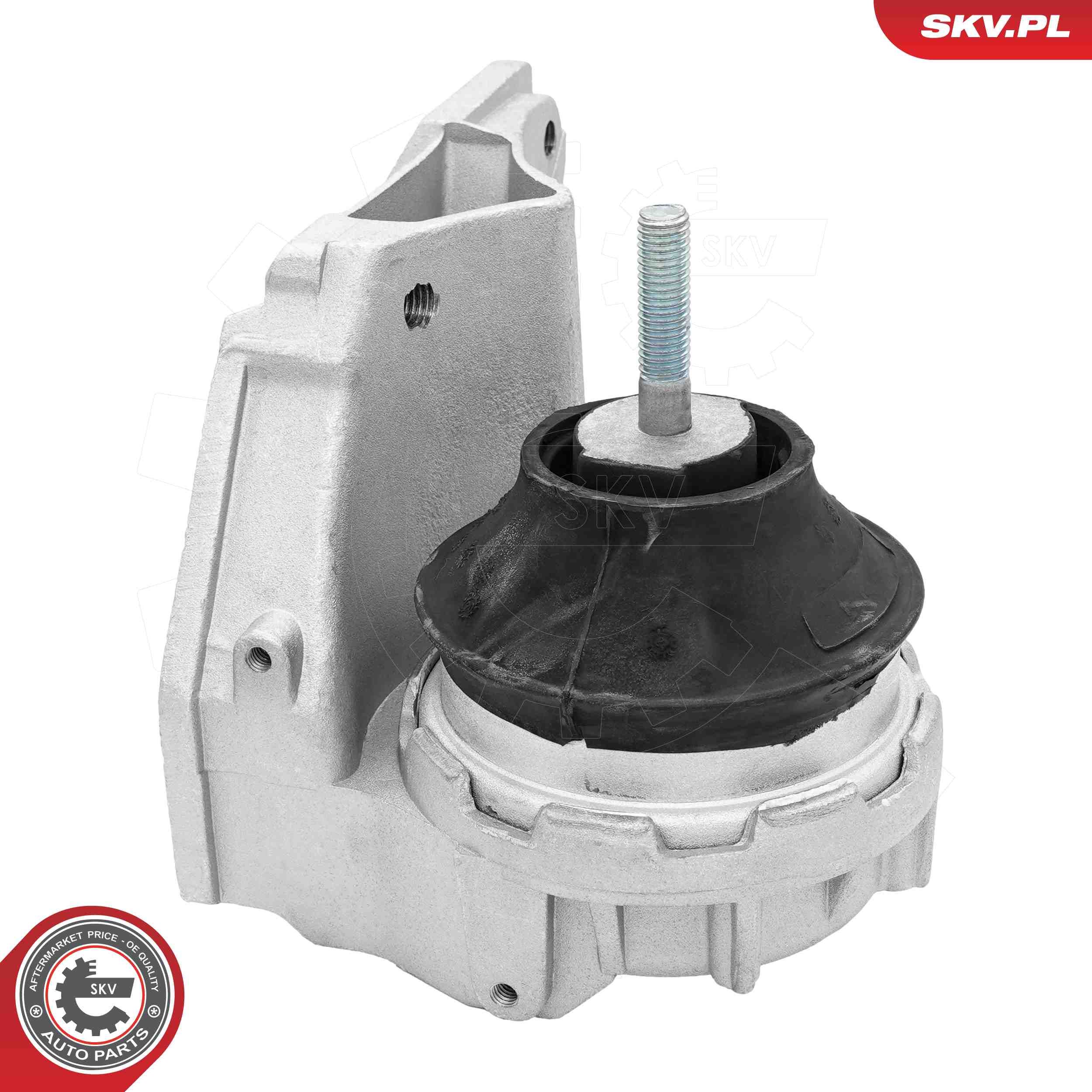 ESEN SKV 75SKV196 - Lagerung, Motor