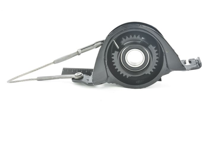 guolis, kardaninio veleno centrinis guolis