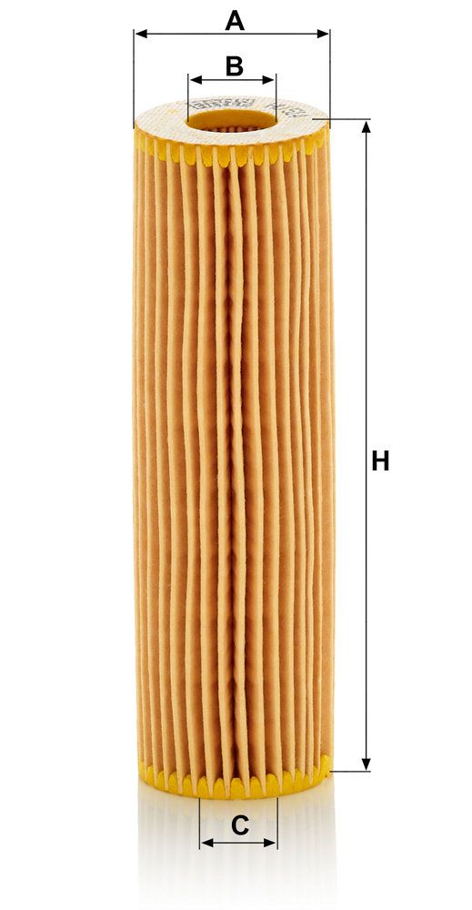 alyvos filtras