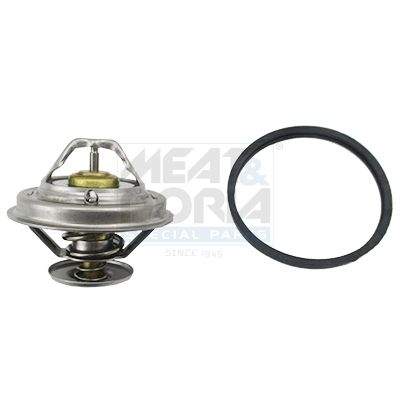 Thermostat, Kühlmittel